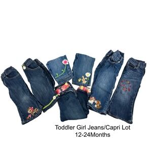 Toddler Girl Jean Capri Lot 12 18 24 Months Gymboree Embroidered Animals Flowers
